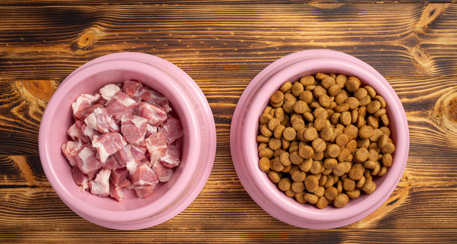 Homemade Diabetic Dog Food