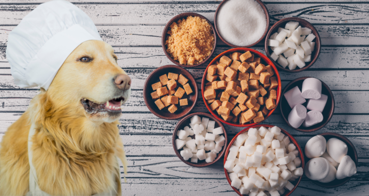 Homemade Diabetic Dog Food