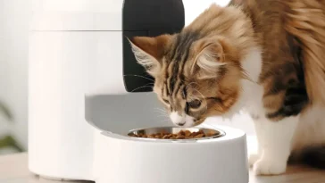Automatic wet food cat feeder keeping meals fresh and scheduled for a happy feline