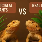 Are Artificial Plants Better for Bearded Dragons or Real? Comparison of live and artificial plants for bearded dragons
