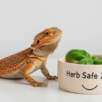 Can Bearded Dragons Have Basil Safely? Expert Tips