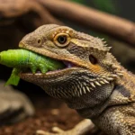Can Bearded Dragons Eat Hornworms? A Great Snack