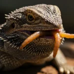 Are Superworms Good for Bearded Dragons? Benefits You’ll Love